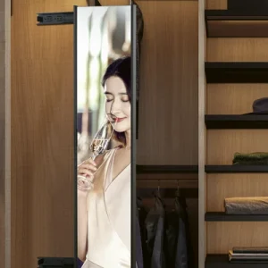 Closet Pull-out Mirror